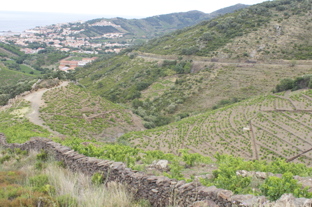 Coteaux de Collioure