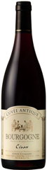 vin n°11
